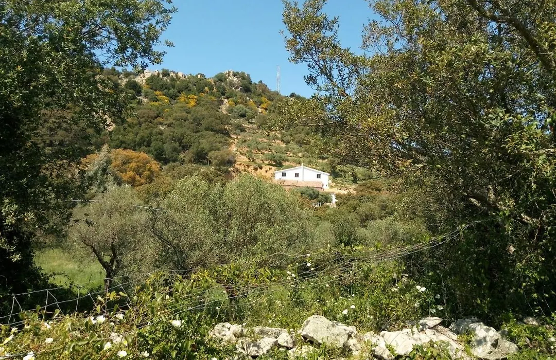 Il Nuraghe-1